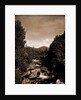 Mt. Pleasant from the Ammonoosuc, White Mountains by Anonymous