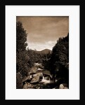 Mt. Pleasant from the Ammonoosuc, White Mountains by Anonymous