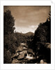 Mt. Pleasant from the Ammonoosuc, White Mountains by Anonymous