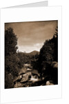 Mt. Pleasant from the Ammonoosuc, White Mountains by Anonymous