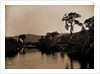 On the Ammonoosuc, White Mountains by Anonymous