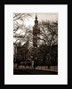 Madison Square, New York by Anonymous