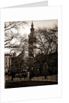 Madison Square, New York by Anonymous