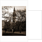 Madison Square, New York by Anonymous
