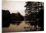 A Lake view in Central Park, New York by Anonymous