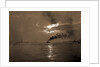 Sunset from the Battery, New York by Anonymous