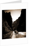 The Royal Gorge, Colo by Anonymous