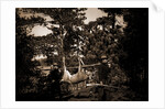 Hunting in the Adirondacks, Deer hunting by Anonymous