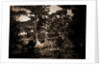 Hunting in the Adirondacks, Deer hunting by Anonymous