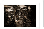 Hunting in the Adirondacks, Deer hunting by Anonymous