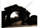 Jarvis Lane, Far Rockaway by Anonymous