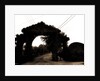 Jarvis Lane, Far Rockaway by Anonymous