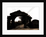 Jarvis Lane, Far Rockaway by Anonymous