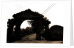 Jarvis Lane, Far Rockaway by Anonymous