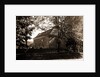 Old Dutch Church in Sleepy Hollow, Tarrytown by Anonymous