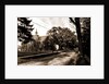 Library and street view, Pleasantville by Anonymous