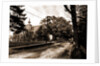 Library and street view, Pleasantville by Anonymous