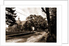Library and street view, Pleasantville by Anonymous