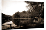 The Lake, Vassar College by Anonymous