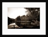 The Lake, Vassar College by Anonymous