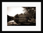 The Lake, Vassar College by Anonymous