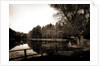 The Lake, Vassar College by Anonymous
