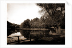 The Lake, Vassar College by Anonymous