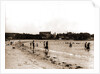 The Bathing beach, Magnolia by Anonymous