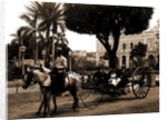 Cuban volanta, A by Anonymous