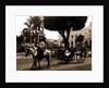 Cuban volanta, A by Anonymous