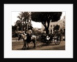Cuban volanta, A by Anonymous