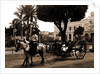 Cuban volanta, A by Anonymous