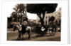 Cuban volanta, A by Anonymous