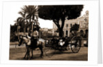 Cuban volanta, A by Anonymous