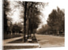 North Delaware Street, Indianapolis by Anonymous