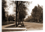 North Delaware Street, Indianapolis by Anonymous