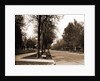 North Delaware Street, Indianapolis by Anonymous