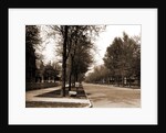 North Delaware Street, Indianapolis by Anonymous