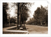 North Delaware Street, Indianapolis by Anonymous