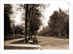 North Delaware Street, Indianapolis by Anonymous