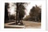 North Delaware Street, Indianapolis by Anonymous