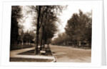 North Delaware Street, Indianapolis by Anonymous