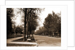 North Delaware Street, Indianapolis by Anonymous