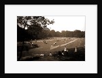 The Tennis courts, Central Park by Anonymous
