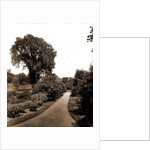 On the path to paradise, the campus by Anonymous