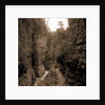 Column Rocks from below, Ausable Chasm by Anonymous