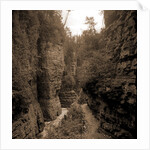 Column Rocks from below, Ausable Chasm by Anonymous