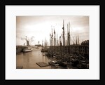 Schooners at "T" wharf, Boston by Anonymous