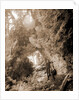 Fairy Arch, Mackinac Island by Anonymous