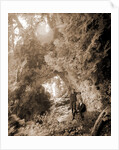 Fairy Arch, Mackinac Island by Anonymous